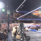 Filename=scarlettimpact20181007_Still047.jpg
Filesize=284KiB
Dimensions=1280x720
Date added=Mar 15, 2021 scarlettimpact20181007_Still047.jpg