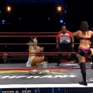 Filename=scarlettmatch20180907_Still196.jpg
Filesize=275KiB
Dimensions=1280x720
Date added=Jan 13, 2020 scarlettmatch20180907_Still196.jpg