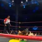 Filename=scarlettmatch20180907_Still380.jpg
Filesize=251KiB
Dimensions=1280x720
Date added=Jan 13, 2020 scarlettmatch20180907_Still380.jpg