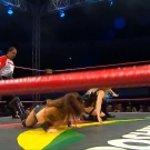 Filename=scarlettmatch20180907_Still381.jpg
Filesize=268KiB
Dimensions=1280x720
Date added=Jan 13, 2020 scarlettmatch20180907_Still381.jpg