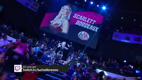 scarlettmatch20181202_Still025.jpg