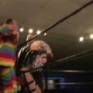 Filename=scarlettmatch20190118_Still708.jpg
Filesize=183KiB
Dimensions=1280x720
Date added=May 16, 2020 scarlettmatch20190118_Still708.jpg