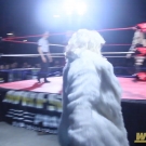 scarlettmatch20190420_Still094.jpg