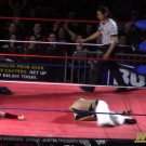 Filename=scarlettmatch20190420_Still699.jpg
Filesize=552KiB
Dimensions=1920x1080
Date added=Mar 31, 2020 scarlettmatch20190420_Still699.jpg