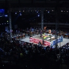 Filename=scarlettmatch20190615_Still487.jpg
Filesize=556KiB
Dimensions=1920x1080
Date added=Jan 16, 2020 scarlettmatch20190615_Still487.jpg