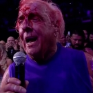 Filename=scarlettmatch20220731_00_09_38_00_Still746.jpg
Filesize=245KiB
Dimensions=1280x720
Date added=Aug 15, 2022 scarlettmatch20220731_00_09_38_00_Still746.jpg