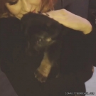 Filename=realscarlettbordeaux20151022_Still001.jpg
Filesize=56KiB
Dimensions=640x640
Date added=Sep 14, 2020 realscarlettbordeaux20151022_Still001.jpg