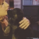 Filename=realscarlettbordeaux20151022_Still015.jpg
Filesize=88KiB
Dimensions=640x640
Date added=Sep 14, 2020 realscarlettbordeaux20151022_Still015.jpg