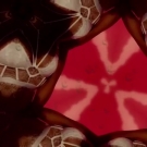 Filename=realscarlettbordeaux20180720_Still092.jpg
Filesize=84KiB
Dimensions=640x360
Date added=Oct 15, 2020 realscarlettbordeaux20180720_Still092.jpg