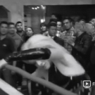 Filename=realscarlettbordeaux20181124_Still007.jpg
Filesize=64KiB
Dimensions=640x360
Date added=Oct 16, 2020 realscarlettbordeaux20181124_Still007.jpg