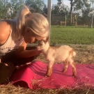 Filename=realscarlettbordeaux20200601_Still030.jpg
Filesize=297KiB
Dimensions=640x800
Date added=Oct 17, 2020 realscarlettbordeaux20200601_Still030.jpg