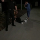 Filename=scarlettnxt20191113_Still005.jpg
Filesize=120KiB
Dimensions=1280x720
Date added=Dec 22, 2019 scarlettnxt20191113_Still005.jpg