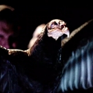 Filename=scarlettnxt20201216_Still016.jpg
Filesize=223KiB
Dimensions=1280x720
Date added=Dec 17, 2020 scarlettnxt20201216_Still016.jpg