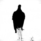 Filename=scarlettnxt20201216_Still032.jpg
Filesize=84KiB
Dimensions=1280x720
Date added=Dec 17, 2020 scarlettnxt20201216_Still032.jpg