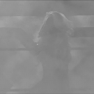 Filename=scarlettnxt20210106_Still110.jpg
Filesize=89KiB
Dimensions=1280x720
Date added=Jan 08, 2021 scarlettnxt20210106_Still110.jpg