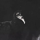 Filename=scarlettnxt20210120_Still003.jpg
Filesize=92KiB
Dimensions=1280x720
Date added=Jan 21, 2021 scarlettnxt20210120_Still003.jpg