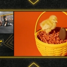 Filename=scarlettnxt20210224_Still125.jpg
Filesize=355KiB
Dimensions=1280x720
Date added=Feb 28, 2021 scarlettnxt20210224_Still125.jpg