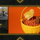 Filename=scarlettnxt20210224_Still126.jpg
Filesize=360KiB
Dimensions=1280x720
Date added=Feb 28, 2021 scarlettnxt20210224_Still126.jpg