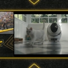 Filename=scarlettnxt20210224_Still138.jpg
Filesize=338KiB
Dimensions=1280x720
Date added=Feb 28, 2021 scarlettnxt20210224_Still138.jpg