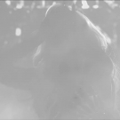 Filename=scarlettnxt20210511_Still134.jpg
Filesize=88KiB
Dimensions=1280x720
Date added=May 12, 2021 scarlettnxt20210511_Still134.jpg