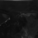 Filename=scarlettnxt20210713_00_01_47_15_Still177.jpg
Filesize=150KiB
Dimensions=1280x720
Date added=Jul 24, 2021 scarlettnxt20210713_00_01_47_15_Still177.jpg