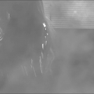 Filename=scarlettnxt20210713_00_01_54_15_Still191.jpg
Filesize=133KiB
Dimensions=1280x720
Date added=Jul 24, 2021 scarlettnxt20210713_00_01_54_15_Still191.jpg