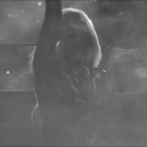 Filename=scarlettnxt20210713_00_01_56_00_Still194.jpg
Filesize=151KiB
Dimensions=1280x720
Date added=Jul 24, 2021 scarlettnxt20210713_00_01_56_00_Still194.jpg