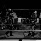 Filename=scarlettraw20240722_00_00_24_00_Still120.jpg
Filesize=342KiB
Dimensions=1920x1080
Date added=Aug 06, 2024 scarlettraw20240722_00_00_24_00_Still120.jpg