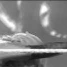 Filename=scarlettsd20230526_00_03_40_15_Still137.jpg
Filesize=241KiB
Dimensions=1920x1080
Date added=Jun 09, 2023 scarlettsd20230526_00_03_40_15_Still137.jpg