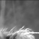 Filename=scarlettsd20230526_00_03_50_00_Still156.jpg
Filesize=209KiB
Dimensions=1920x1080
Date added=Jun 09, 2023 scarlettsd20230526_00_03_50_00_Still156.jpg