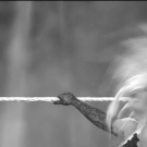 Filename=scarlettsd20230526_00_03_50_15_Still157.jpg
Filesize=246KiB
Dimensions=1920x1080
Date added=Jun 09, 2023 scarlettsd20230526_00_03_50_15_Still157.jpg