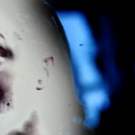 Filename=scarlettsd20240112_00_00_04_10_Still008.jpg
Filesize=346KiB
Dimensions=1920x1080
Date added=Feb 08, 2024 scarlettsd20240112_00_00_04_10_Still008.jpg